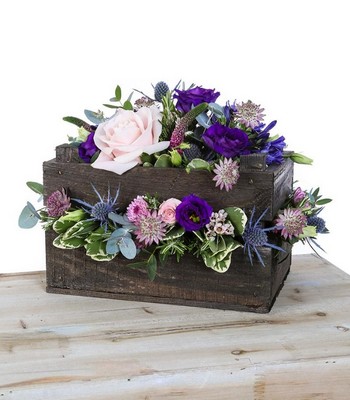 Flower Box